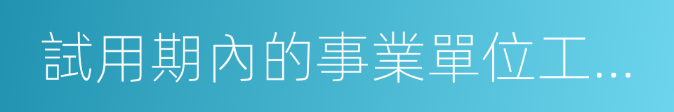 試用期內的事業單位工作人員的同義詞