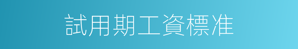 試用期工資標准的同義詞