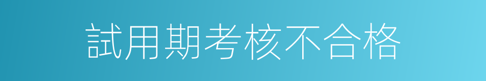 試用期考核不合格的同義詞