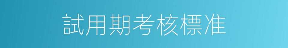 試用期考核標准的同義詞