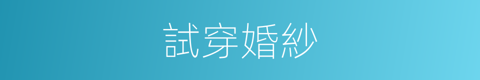 試穿婚紗的同義詞