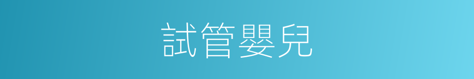 試管嬰兒的意思