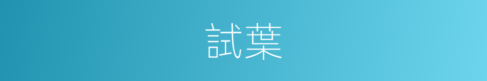 試葉的同義詞