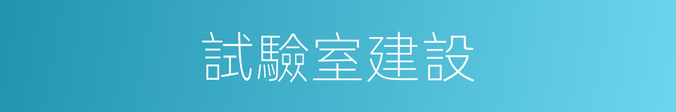 試驗室建設的同義詞