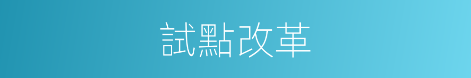 試點改革的同義詞