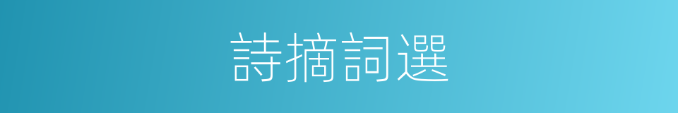 詩摘詞選的同義詞
