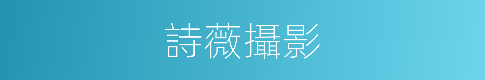 詩薇攝影的同義詞