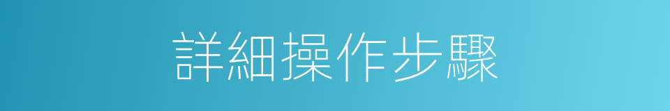 詳細操作步驟的同義詞