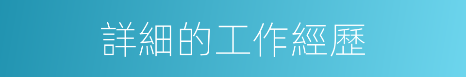 詳細的工作經歷的同義詞
