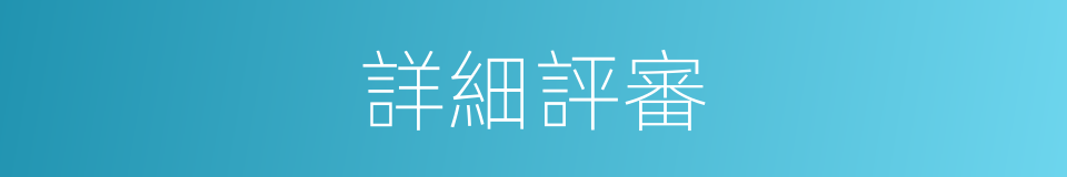 詳細評審的同義詞