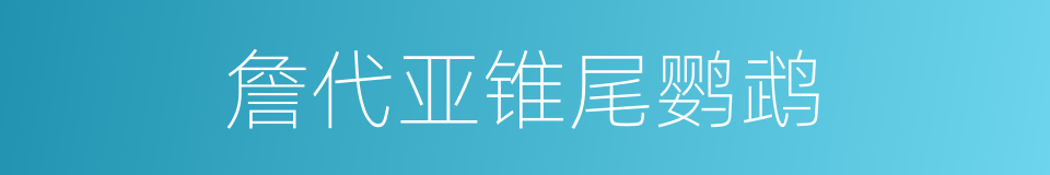詹代亚锥尾鹦鹉的同义词
