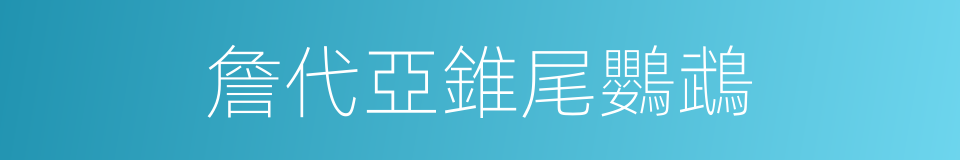 詹代亞錐尾鸚鵡的同義詞
