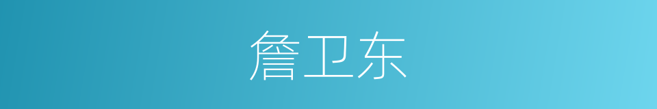 詹卫东的同义词