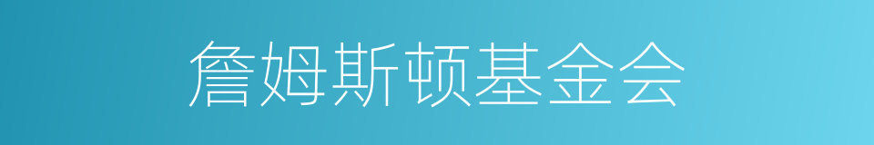 詹姆斯顿基金会的同义词