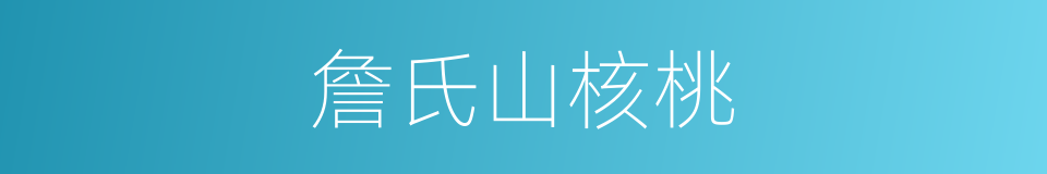 詹氏山核桃的同义词