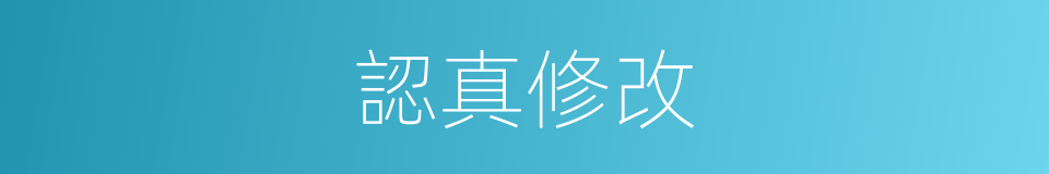 認真修改的同義詞