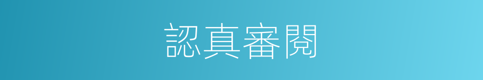 認真審閱的同義詞