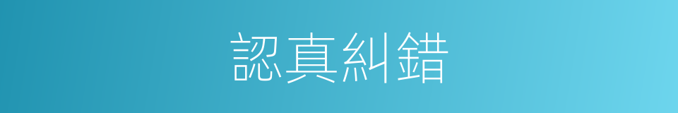 認真糾錯的同義詞