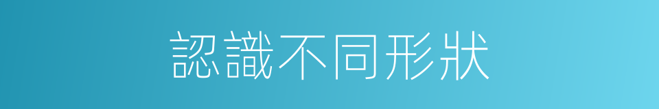 認識不同形狀的同義詞