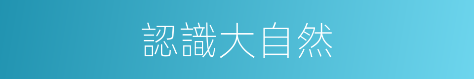 認識大自然的同義詞