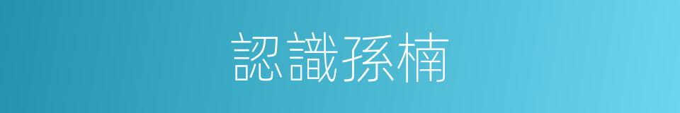 認識孫楠的同義詞