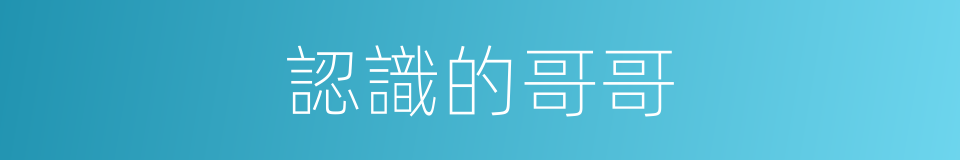 認識的哥哥的同義詞