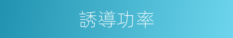 誘導功率的同義詞