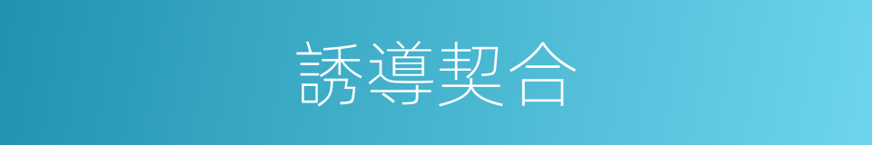 誘導契合的同義詞