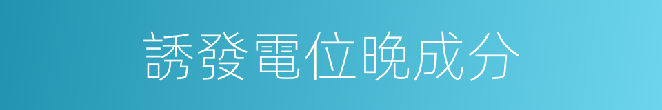 誘發電位晚成分的同義詞