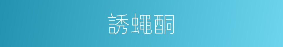 誘蠅酮的同義詞