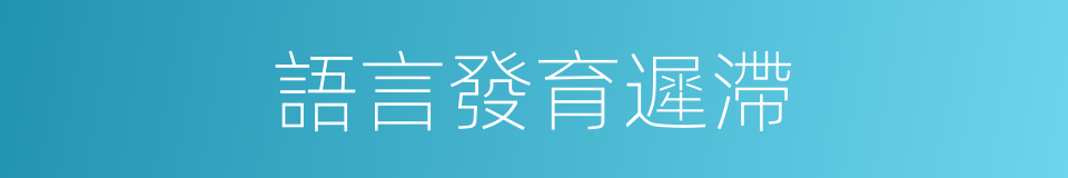 語言發育遲滯的同義詞