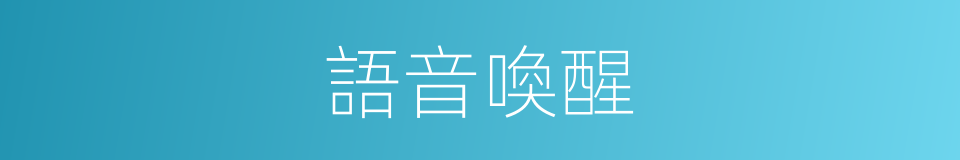 語音喚醒的同義詞