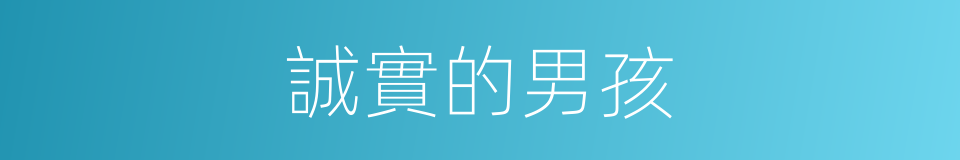 誠實的男孩的同義詞