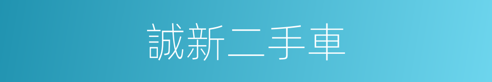 誠新二手車的同義詞