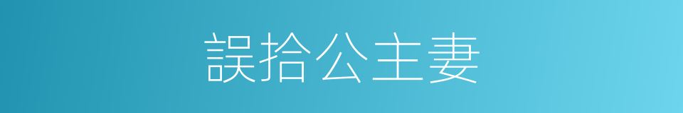 誤拾公主妻的同義詞