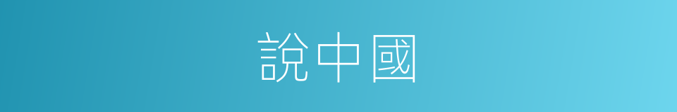 說中國的同義詞