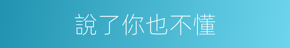 說了你也不懂的同義詞