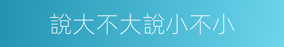 說大不大說小不小的同義詞