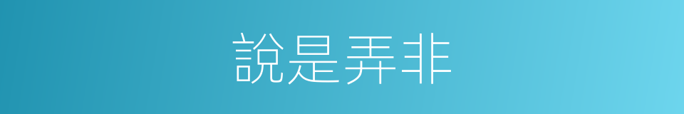 說是弄非的意思