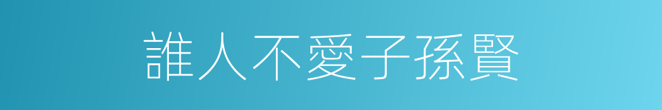 誰人不愛子孫賢的同義詞