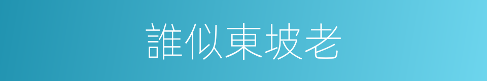 誰似東坡老的同義詞