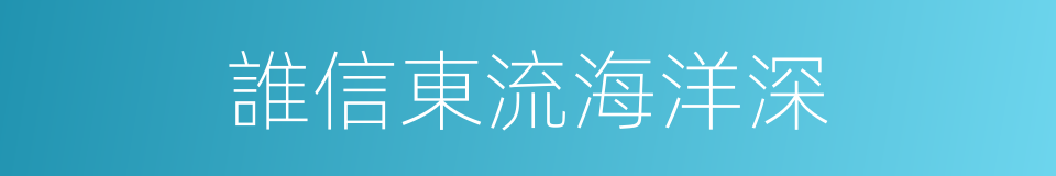 誰信東流海洋深的同義詞