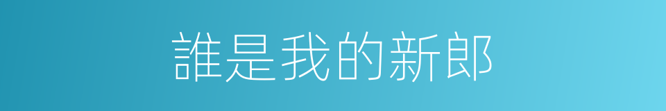 誰是我的新郎的同義詞