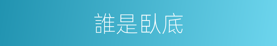 誰是臥底的意思