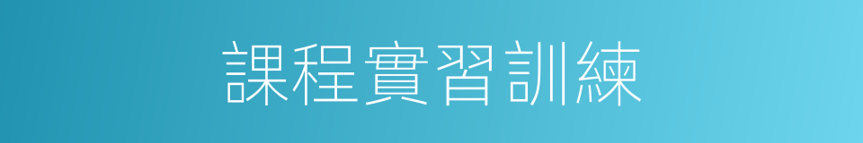 課程實習訓練的同義詞