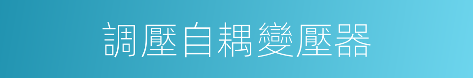 調壓自耦變壓器的同義詞