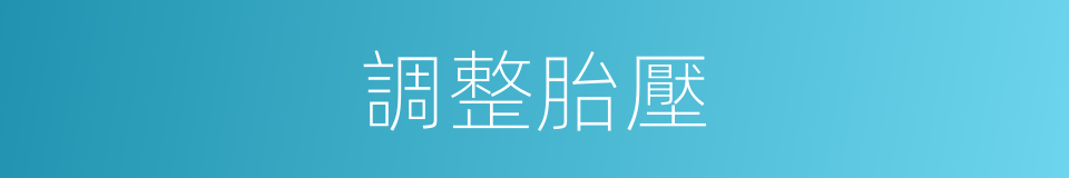 調整胎壓的同義詞