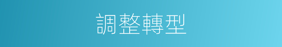 調整轉型的同義詞