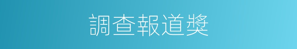 調查報道獎的同義詞