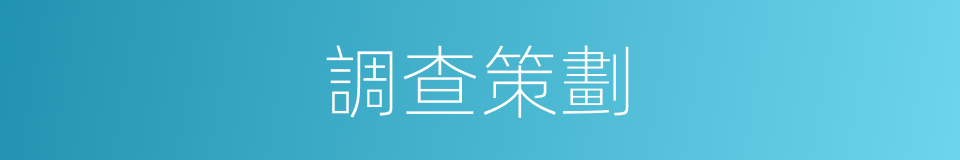 調查策劃的同義詞